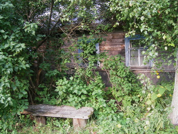 Вид со двора. Фото 3